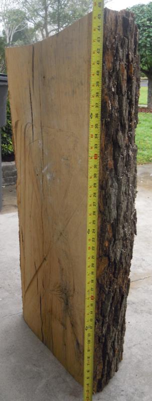 Roman's Arts - Roman Fish Trunk